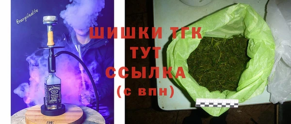 хмурый Белокуриха