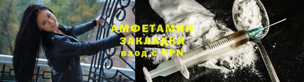 хмурый Белокуриха