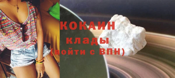 хмурый Белокуриха