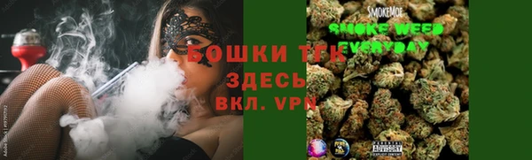 хмурый Белокуриха