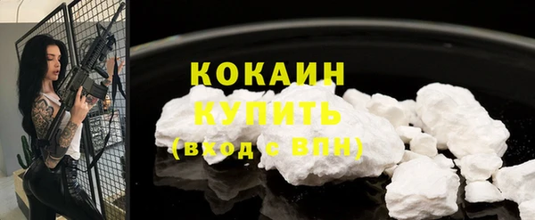 твердый Няндома
