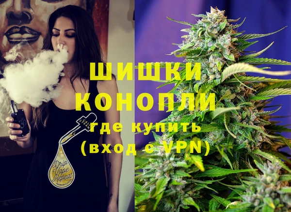 хмурый Белокуриха