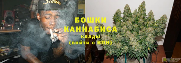 хмурый Белокуриха
