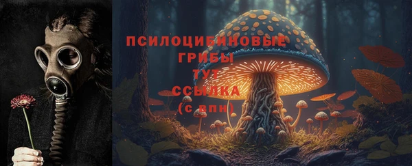 a pvp Беломорск