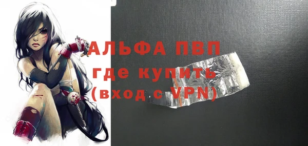хмурый Белокуриха