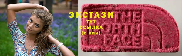 хмурый Белокуриха
